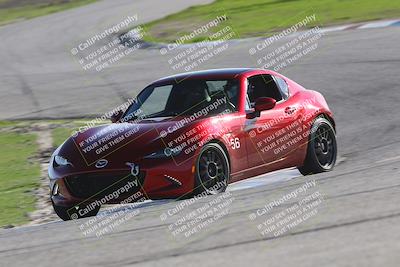 media/Jan-10-2026-Turn8 Trackdays (Sat) [[448b66da83]]/Purple/Session 3 (Off Ramp)/